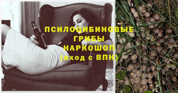 СК Горняк