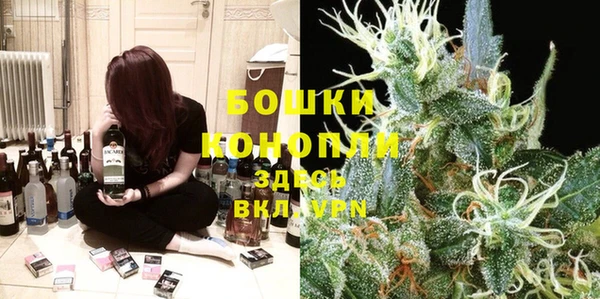 твердый Горнозаводск