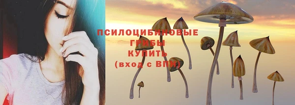винт Горно-Алтайск