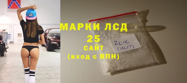 СК Горняк