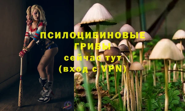 СК Горняк