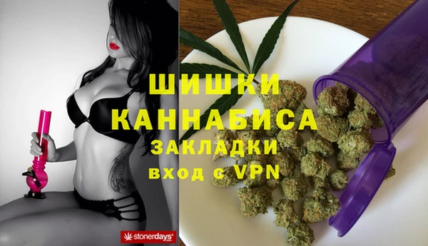 винт Горно-Алтайск