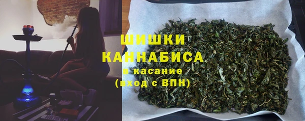 твердый Няндома