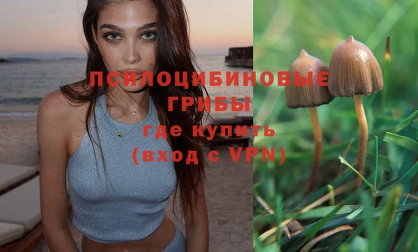 СК Горняк