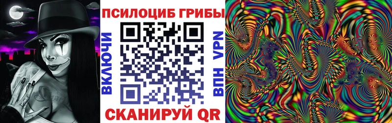 Галлюциногенные грибы GOLDEN TEACHER  Купить закладки  Кириши 